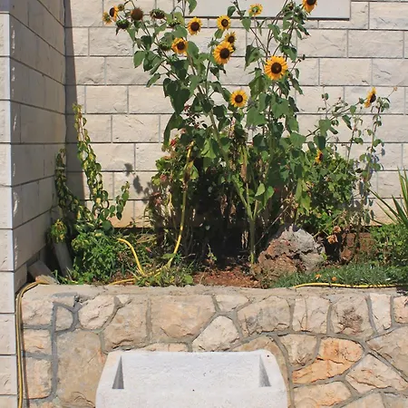 By The Sea Zavalatica, Korcula - 9138 Appartement Zavalatica