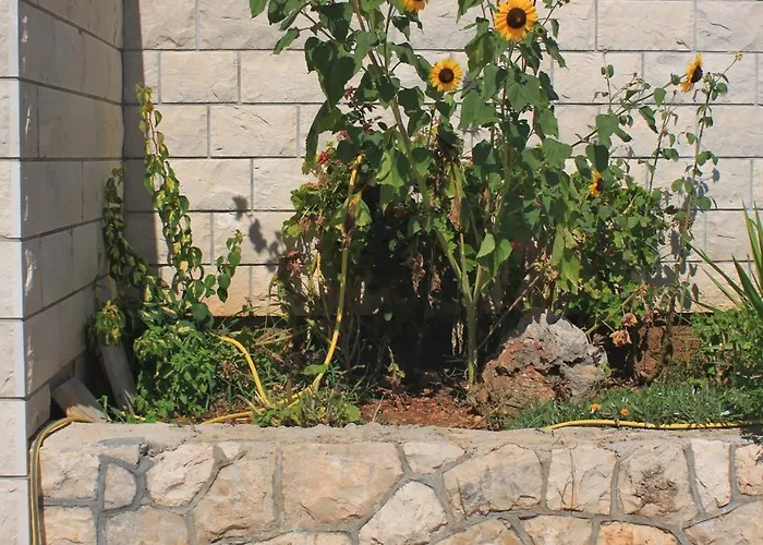 By The Sea Zavalatica, Korcula - 9138 아파트 자발라티카